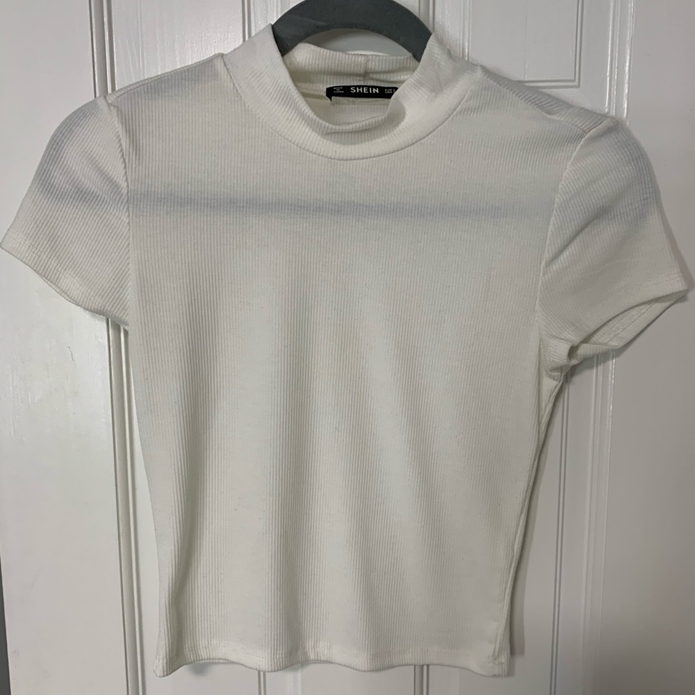 Turtleneck crop top